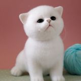 Врата В Рай