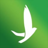 Списание долгов и кредитов | Банкротство