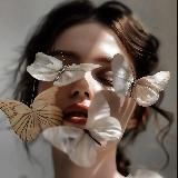 TAROTTFLY | 𝑨𝒎𝒂𝒍𝒊𝒚𝒂&𝒆𝒛𝒐