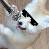 Fennec Forecast