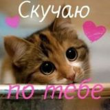 ТВОЙ КОТЁНОЧЕК 😻 (18+)