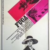 Дружественная страна