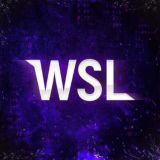 WSL Чат флудилка