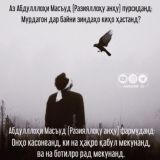 Киштии Начот