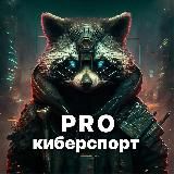 PRO Киберспорт