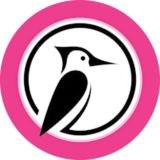 فروشگاه دارکوب 手机电脑