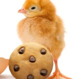 Цыплята 🐣