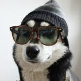 Zarabativaem Vmeste-$$$