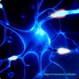 NAKAMOTO Хедж-фонд