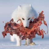 Нам здесь жить. Чат