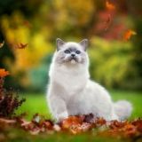 🍁Группа друзей🍁