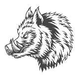 KA₿AN 🐗