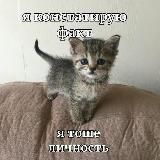 марципановый тгк