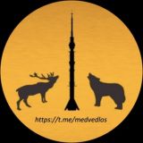 Чат Медведь и Лось. СВАО