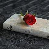 Поэзия | Стихи | Цитаты | Афоризмы