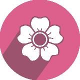 Афиша практик Красной Поляны