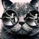 Прикольный Юмор👍