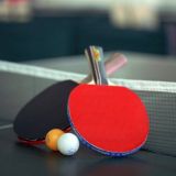 ПИНГ-ПОНГ БОТ