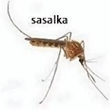 притон Песни полматери. и гифки из моей галереи