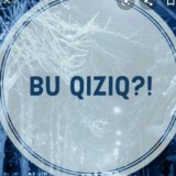 SO'NGGI YANGILIKLAR | UYDA QOLING !