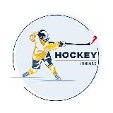 Hockey Juniors USA🇺🇸🏒Хоккейное агентство для юниоров в США 🌍визы США 🇺🇸Канада 🇨🇦все хоккейные лиги США🗽