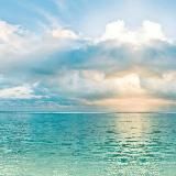 Лиза Космос. Психология. Эниология.