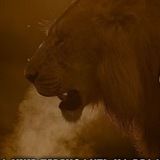 ⚔Vilayat_Qaucas⚔