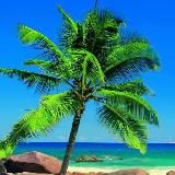 МОЯ ПЛАНЕТА 🌍