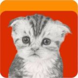 Али Профи ⚙️ Обсуждения 🤷🏽♀️ Чат