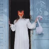 Сердце Лебедя