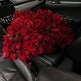 𝙟𝙤𝙠𝙝𝙞𝙗𝙮𝙚