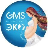 Дом Планирования GMS ЭКО