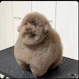 Тупые мемы каждый день