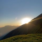 Баскетбол как способ заработка 🏀