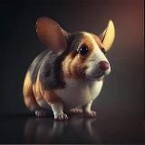 Немножко корги