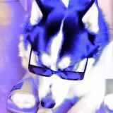 невыразимая млемность бытия