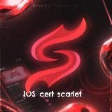 Тик ток мод