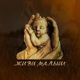 Благотворительная киберспортивная организация «Живи Малыш»