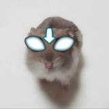 🏆Чат только для талантов🏆