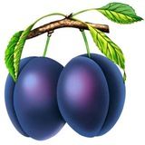 Дорога к деньгам