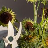 САДОВЫЕ ПОСИДЕЛКИ - GARDEN GATHERINGS