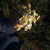 —Turn Off Your Emotions—