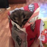 🦹♂️ ЗВЕЗДЕЛКА 🦹♀️