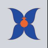 Woman Evolution чат