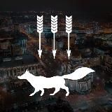 Новости Саранск | Мордовия