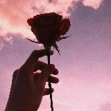 𝐒𝐂𝐑𝐎𝐌𝐍𝐎