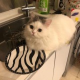 Ты уже близко