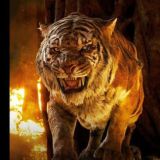 SHER DIL SATTA JODI