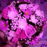 Слив чатов 🍒