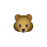 Оплата | BearCourses